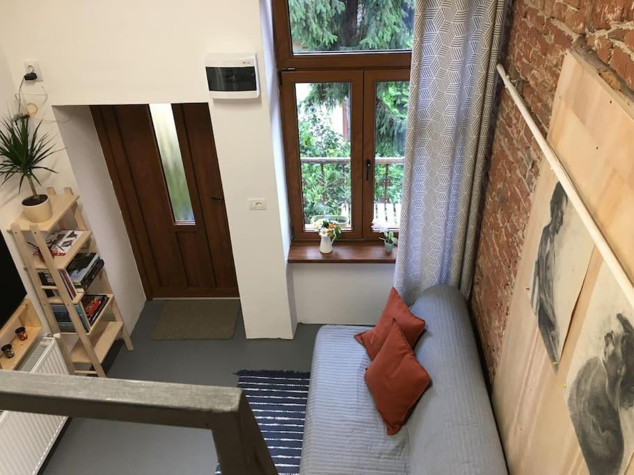 Ferdinand Art Studio Cluj-Napoca Buitenkant foto
